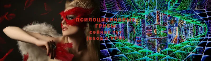 Псилоцибиновые грибы Psilocybe  MEGA ССЫЛКА  Зерноград 